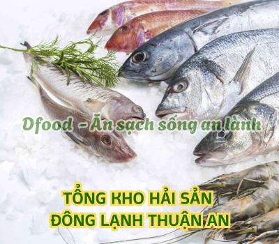 Chuyên sỉ & lẻ hải sản đông lạnh chất lượng tại Thuận An