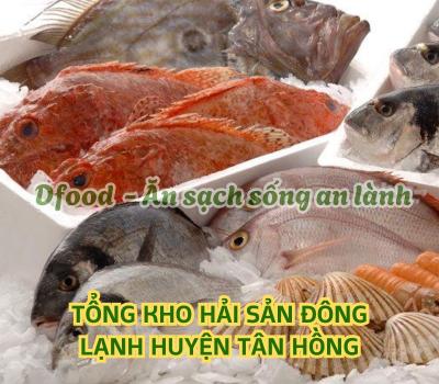Chuyên sỉ & lẻ hải sản đông lạnh giá tốt tại Huyện Tân Hồng