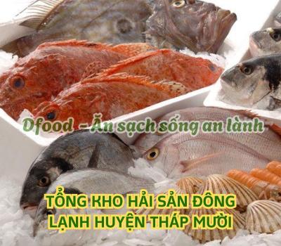 Chuyên sỉ & lẻ hải sản đông lạnh giá tốt tại Huyện Tháp Mười