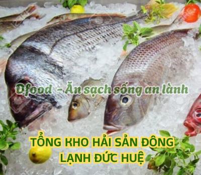 Cửa hàng hải sản đông lạnh giá sỉ tại Đức Huệ