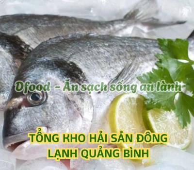 Cửa hàng hải sản đông lạnh giá sỉ tại Quảng Bình