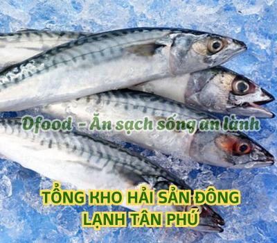 Cửa hàng hải sản đông lạnh giá sỉ tại Tân Phú
