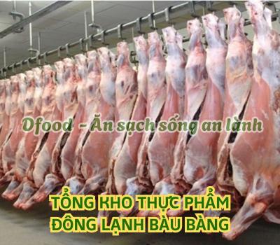 Cửa hàng thực phẩm đông lạnh chất lượng cao tại Bàu Bàng
