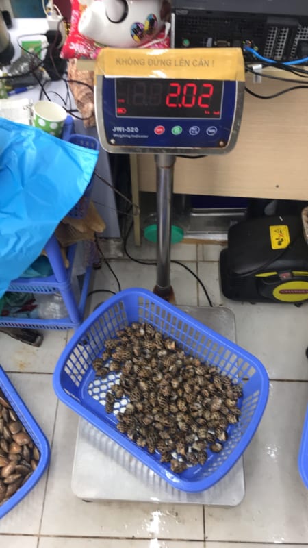 Oc huong - hai san tuoi song ha noi