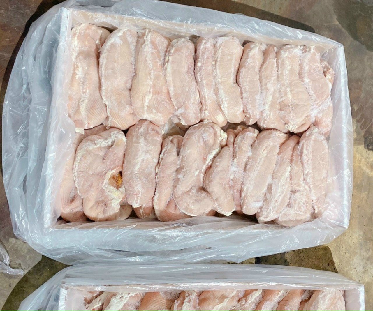 Bao tử heo - Đầu Mối Thực Phẩm Vạn Quy