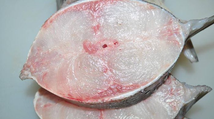 cá bóp biển cá bóp biển