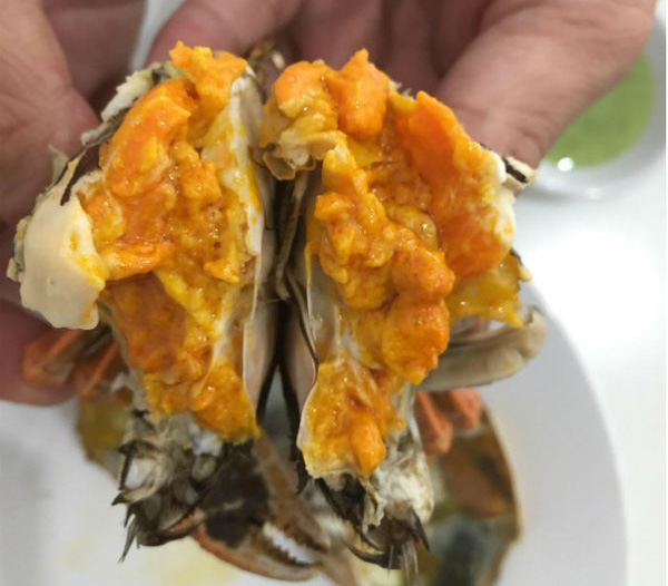 cua lông hong kong cua lông thượng hải
