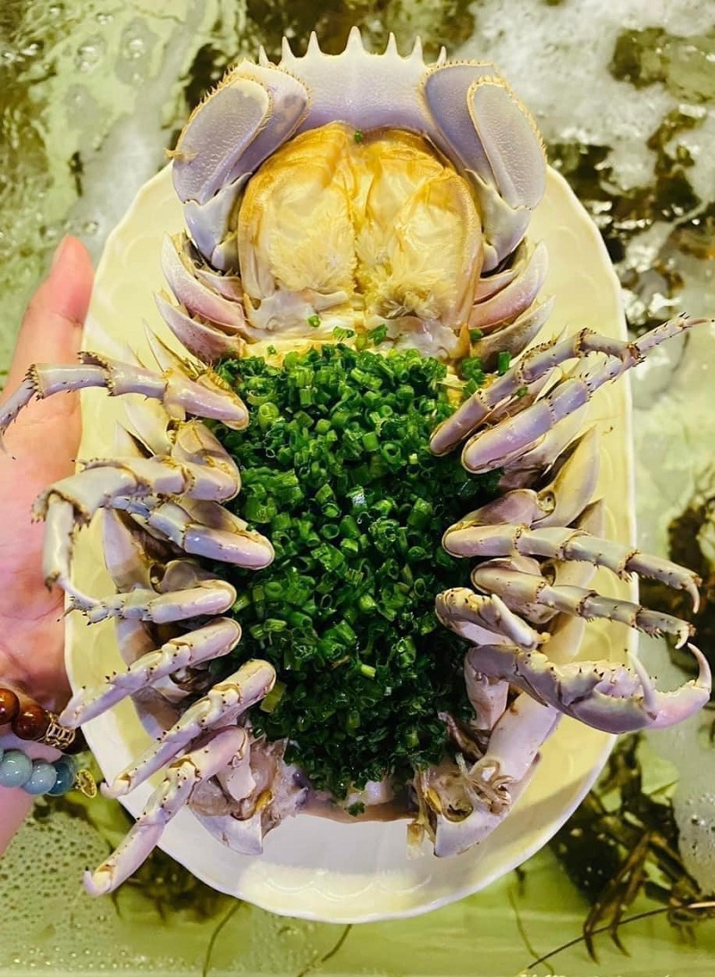 Bọ biển làm món gì